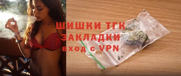индика Елабуга