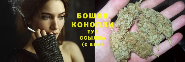 индика Елабуга