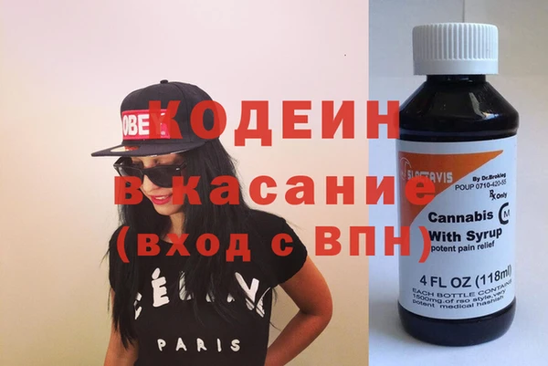 индика Елабуга