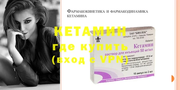 индика Елабуга