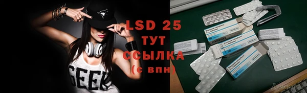 индика Елабуга