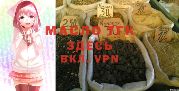 индика Елабуга