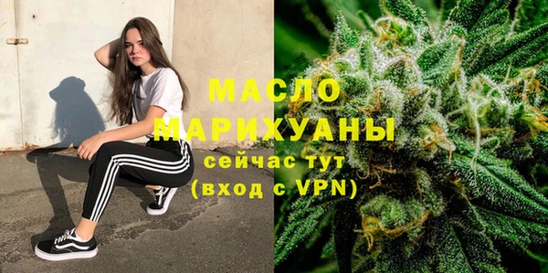 индика Елабуга