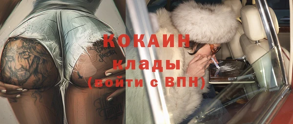 индика Елабуга