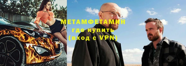 индика Елабуга