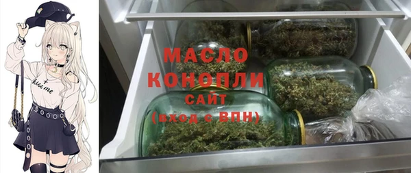 индика Елабуга