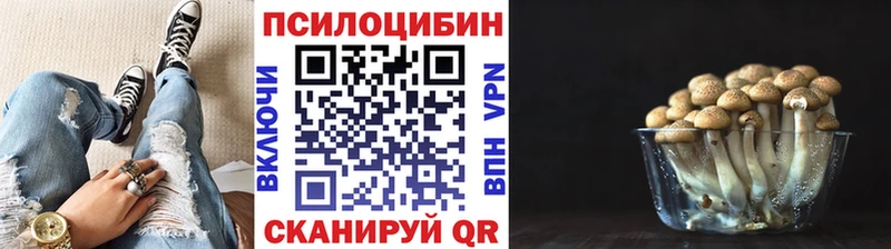 Псилоцибиновые грибы Psilocybine cubensis  Купить где  Орлов 
