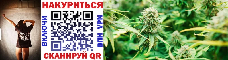 Конопля SATIVA & INDICA  Купить  Орлов 